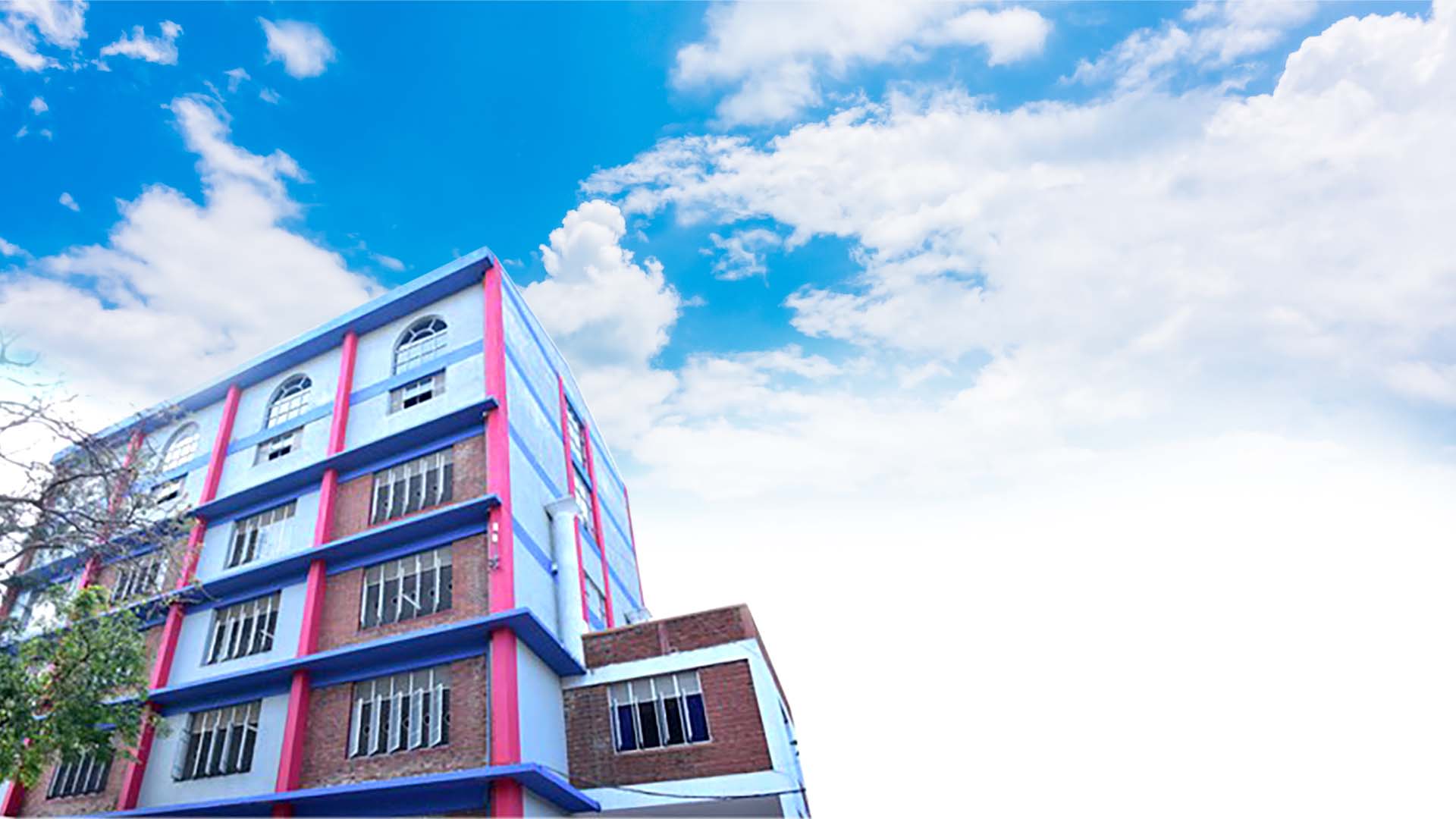 Past Pupil Association